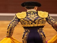 Corrida à Palavas-les-Flots : Un projet scandaleux ravive le débat sur le bien-être animal