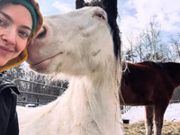 Quand une star d'Hollywood crée un refuge pour animaux à New York, ça donne ça