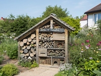 Pourquoi (et comment) construire un hôtel à insectes 5 étoiles dans votre jardin ?