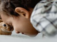 Votre enfant réclame un animal ? Voici pourquoi il ne faut surtout pas craquer trop vite