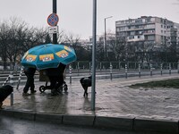 Comment vous préparer, vous et votre chien, à une promenade sous la pluie ?