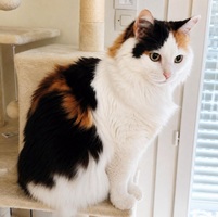 Adopter : CHARLOTTE