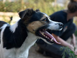 Adopter : Eliza