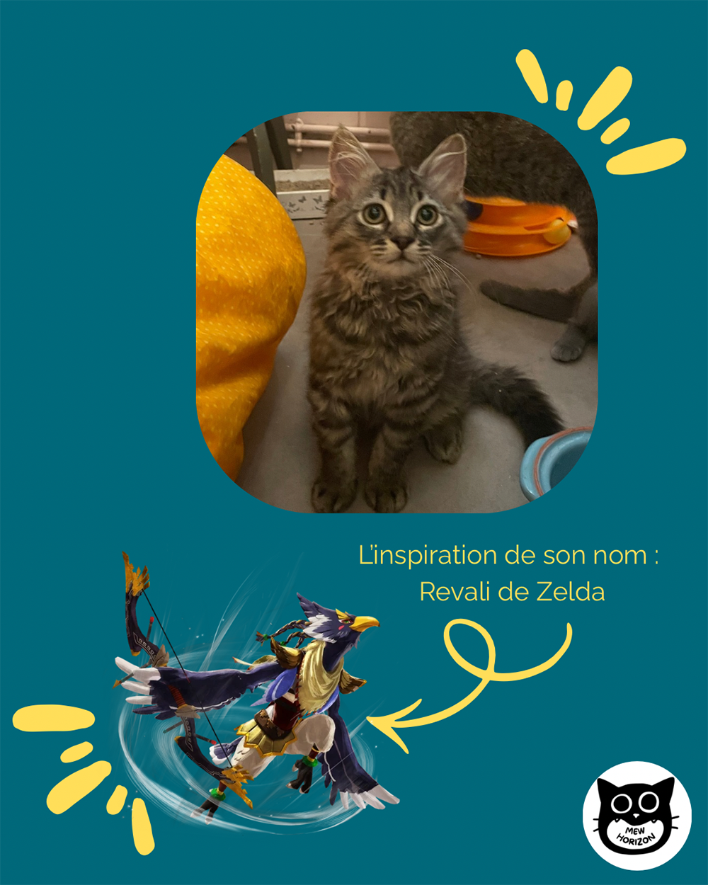 Adoption Revali