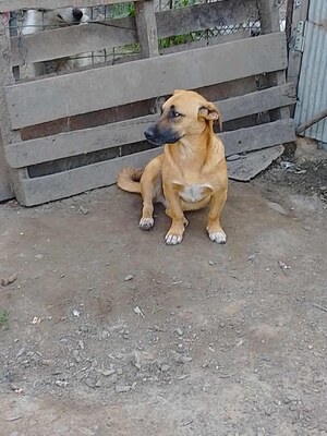 Adopter Uka