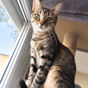 Adopter Mimie Jolie