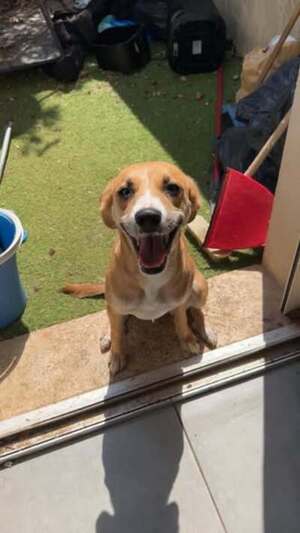 Adopter Taliah