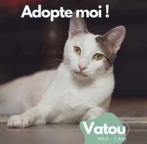 Adopter Vatou