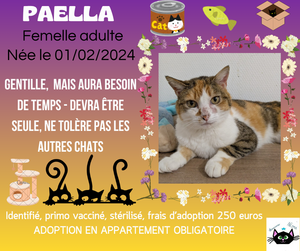 Adopter Paella