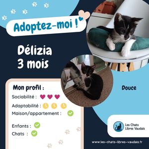 Adopter Délizia