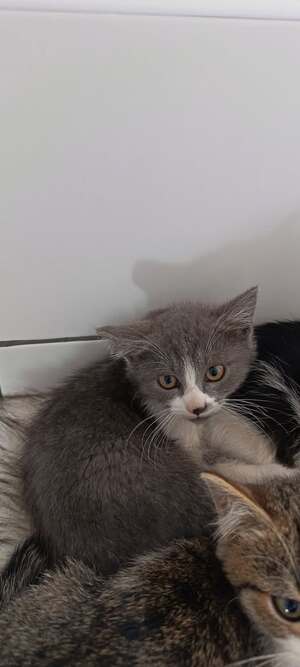 Adopter Nuage