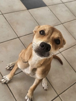 Adopter Yuna