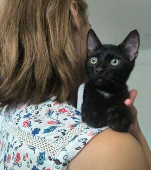 Adopter Copa
