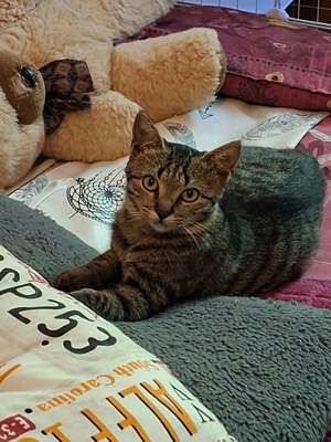 Adopter Betty