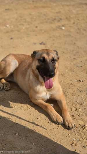 Adopter Yina