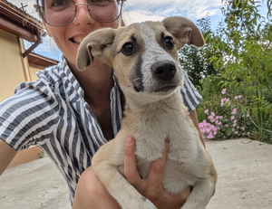 Adopter Allan
