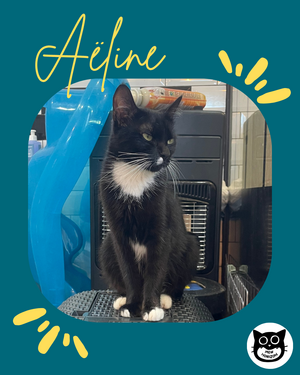 Adopter Aëline