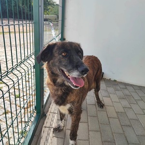 Adopter Vilma