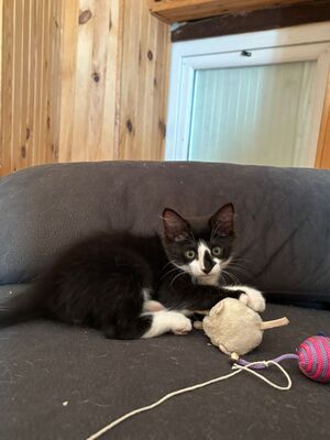 Adopter Jamie