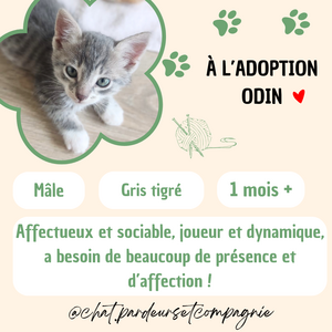 Adopter Odin