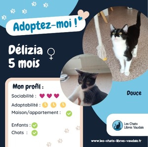 Adopter Délizia