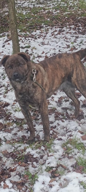 Adopter Tex