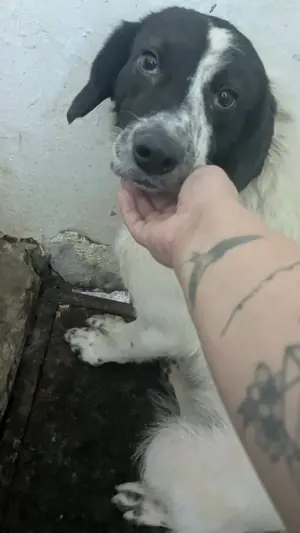 Adopter Lucia