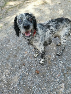 Adopter Papy Paco