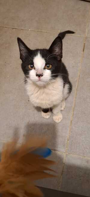 Adopter Jacqueline