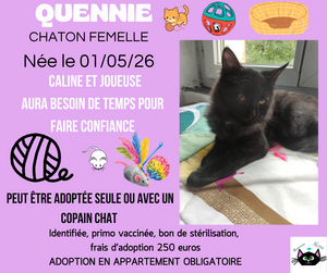 Adopter Quennie