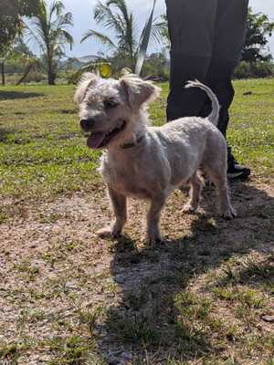 Adopter Lucky
