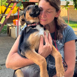 Adopter ZODIA