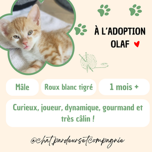 Adopter Olaf