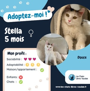 Adopter Stella