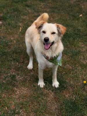 Adopter Toscane
