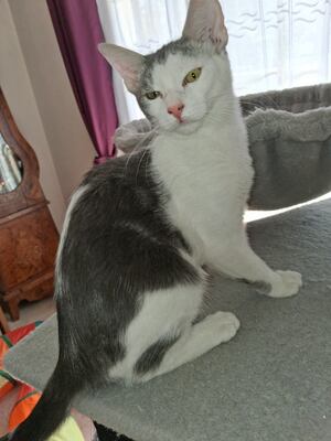 Adopter Madie