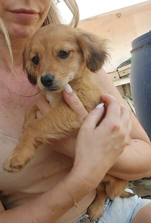 Adopter MANUKA