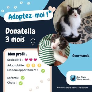 Adopter Dontella