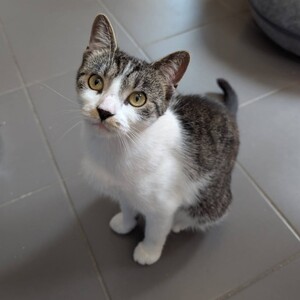 Adopter Louisa