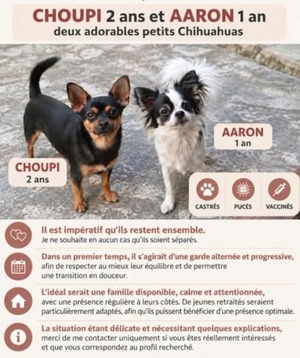 Adopter Choupi et Aaron