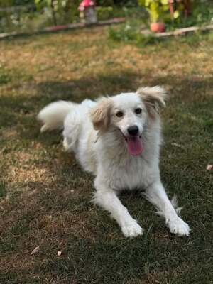 Adopter Eléa