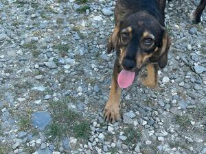 Adopter Leni