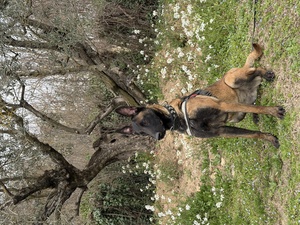 Adopter Farah