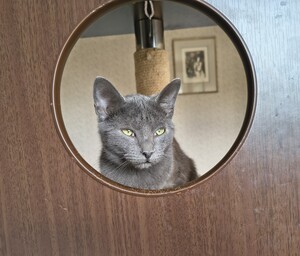 Adopter Val