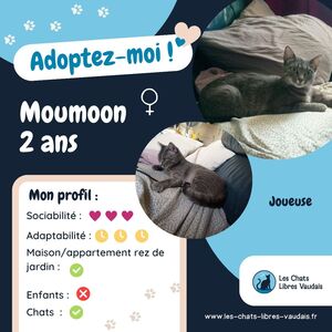 Adopter Moumoon
