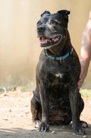 Adopter Tanya