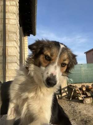 Adopter Tiya