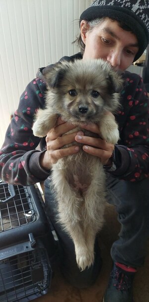 Adopter Bolivia