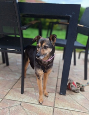 Adopter Yali