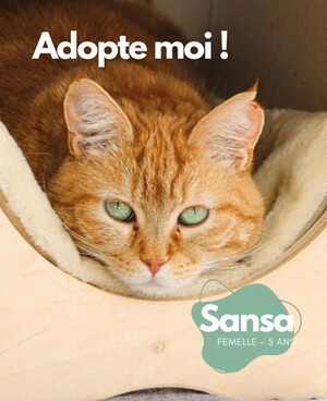 Adopter Sansa